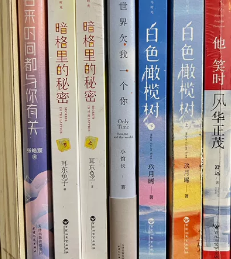 校园言情小说 一起打包出，都是正版当当网购...