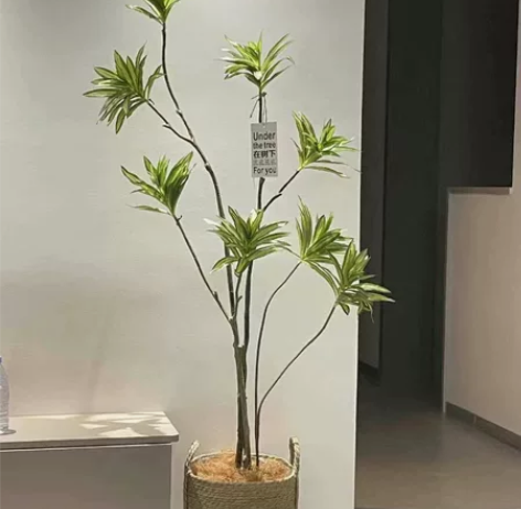 疫情期间展柜撤了，割肉出，仿真轻奢仿真绿植...