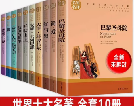 《世界十大名著》全套1-10册，巴黎圣母院...
