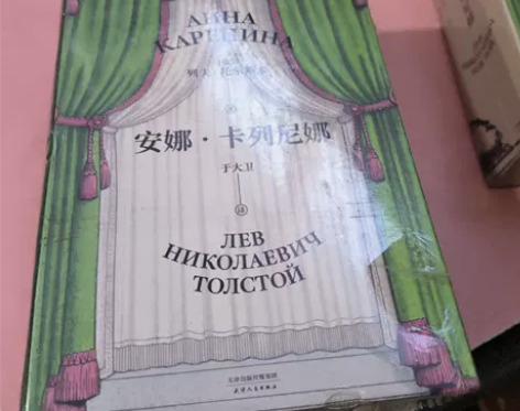 正版-包邮  安娜·卡列尼娜 列夫·托尔斯...