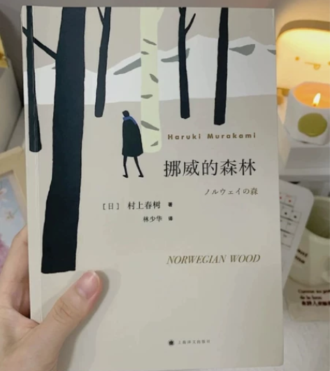 正版二手 挪威的森林（村上春树的残酷青春物...