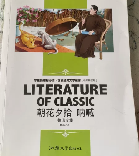 鲁迅 朝花夕拾 呆子呼喊 啊喊 捉狂 野草...