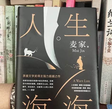 人生海海 月亮与六便士 我们仨 围城 都有...