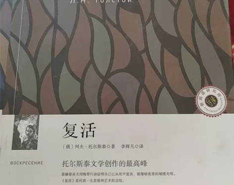 【低价出 可多砍】复活小公主傲慢与偏见 可...