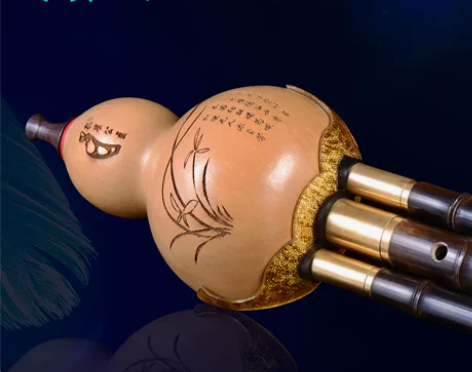 葫芦丝丝 乐器葫芦丝孔雀公主官方旗舰店专业...