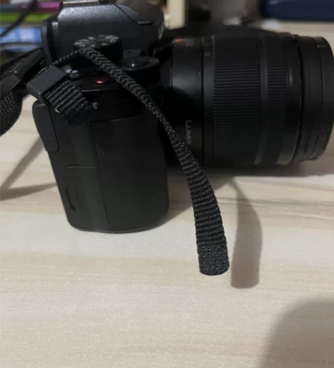 松下g100d，1260套机 6月八号下单...