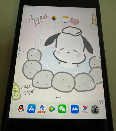iPadmini5 64g 买来就看看视频...