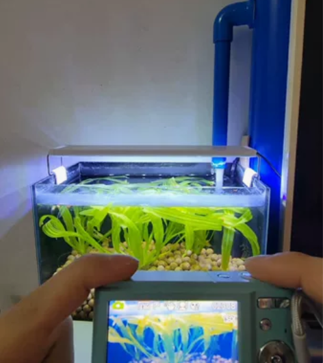 卡片机 型号: 索达佳dc302 4400...