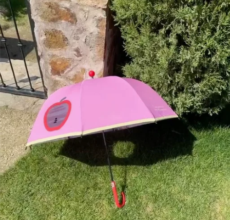 【现货秒发】Tagi.想象苹果雨宝伞安全透...