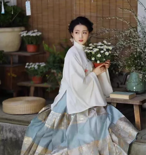 兰若庭 望水云鹤 汉服  明制 立领 补服...