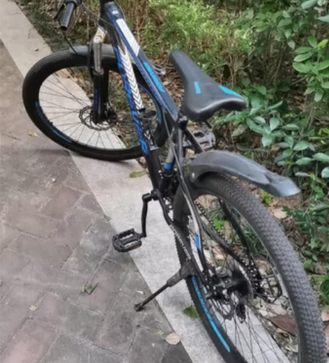 二手永久自行车，低价350出售，有需要的联...