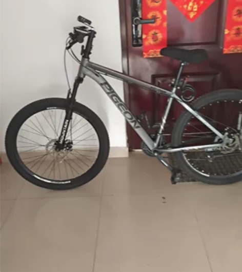 出一台飞鸽自行车-全新-车-上-的-配-饰...