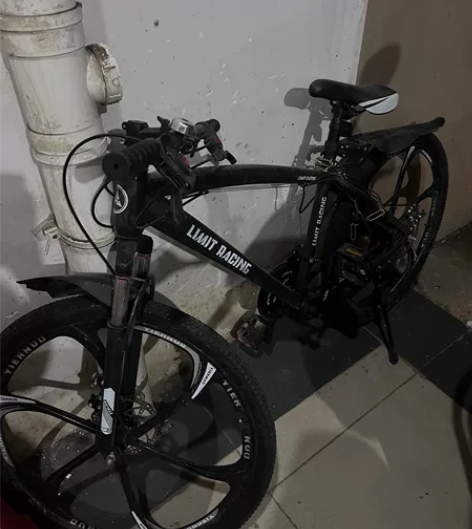 图饰单车,安装了简单后座,轮子是刀片行,买...