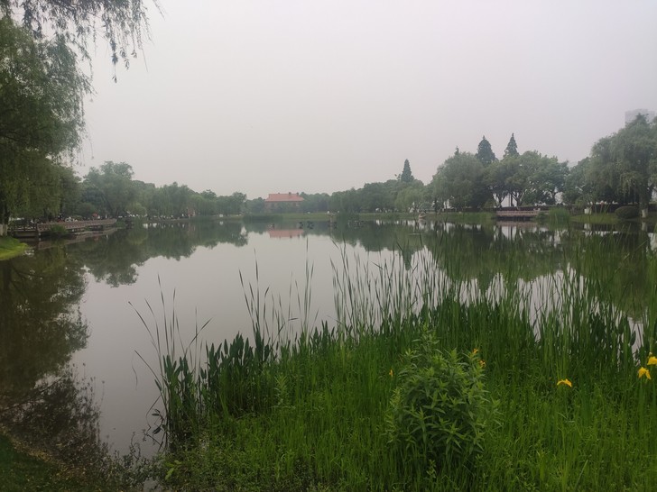 掌阅F1手机，海信A5手机的套壳，4+32...