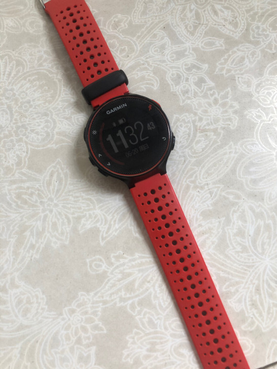 Garmin/佳明Forerunner23...