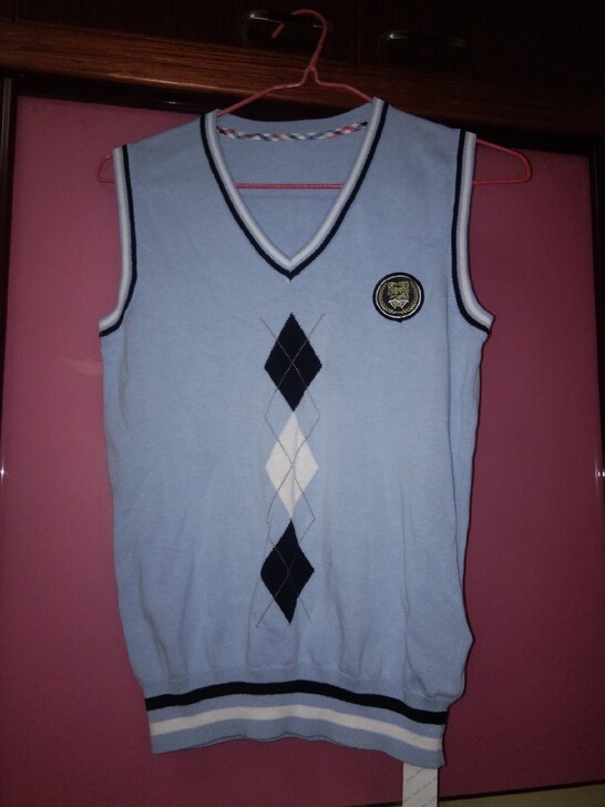 圣华盾jk针织衫,搭卫衣配jk格群的,全新...