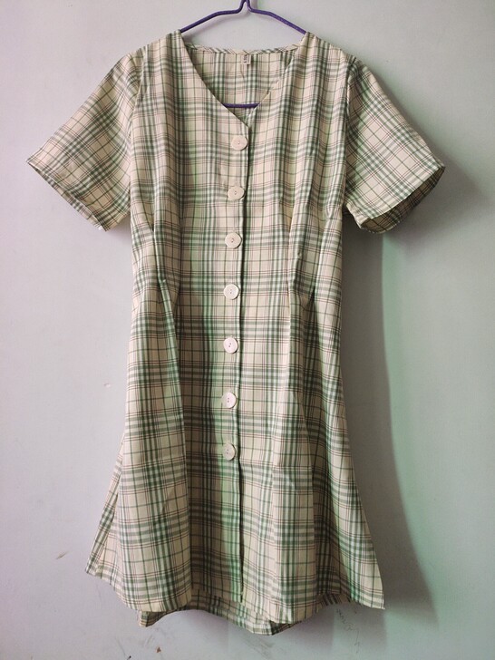 全新绿格法式长裙 全新一次都没穿过 仅试穿...