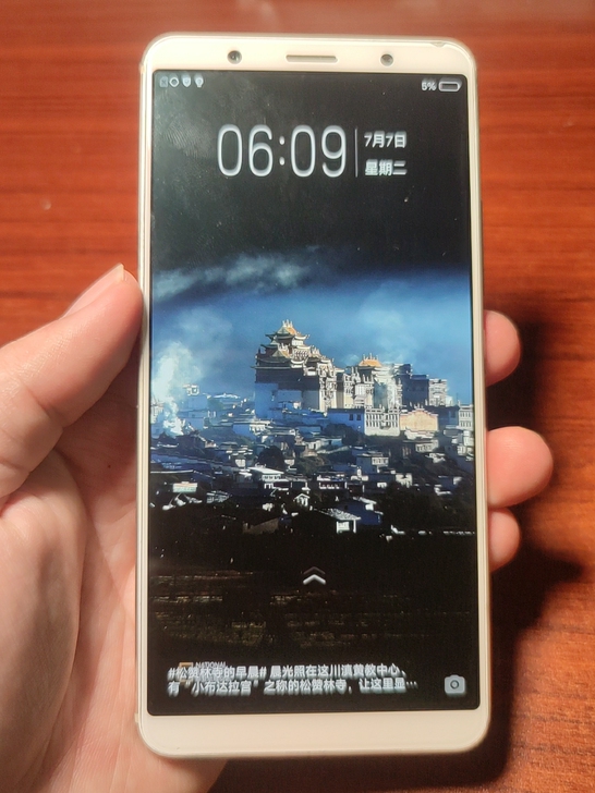 vivo X20 金色 4+64G 全网通