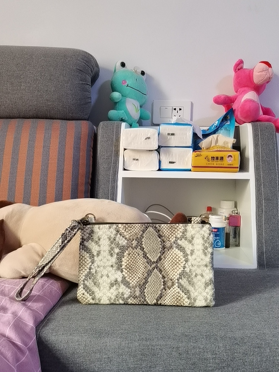 泰国买的 蛇纹手拿包