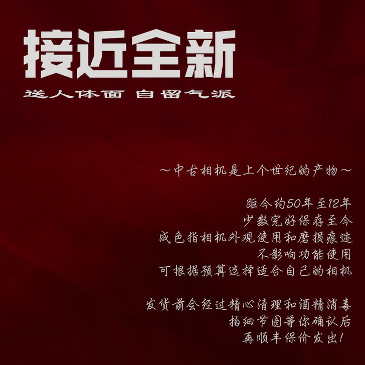 【仿制图章】Nikon尼康 ccd复古老数...