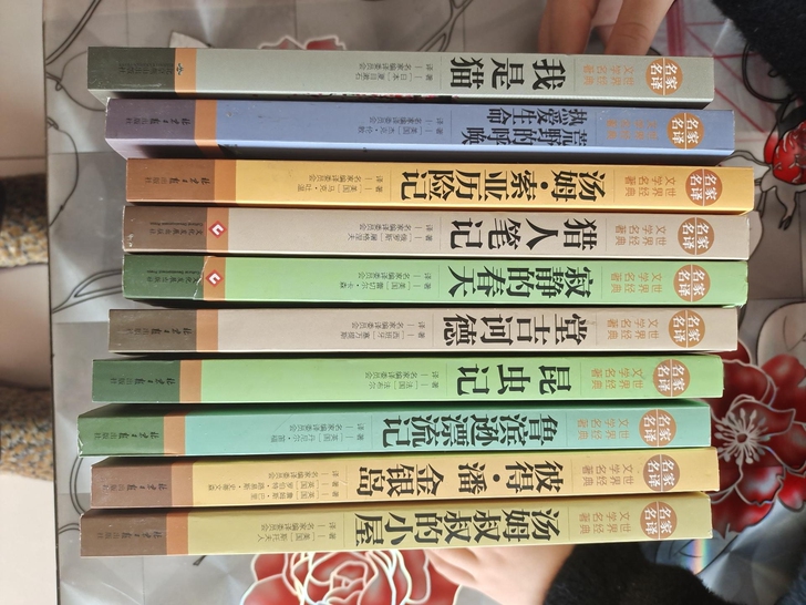 世界名著原著钢铁是怎样练成的哈姆雷特初中必...