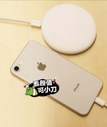 256G闲置iPhone8带指纹、功能全好...