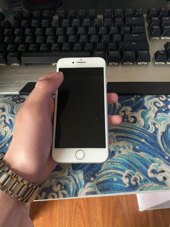 苹果8自刷中断就这样了,256的,有能力的...