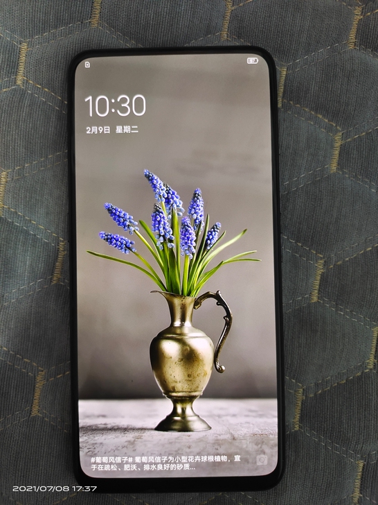 vivo NEX