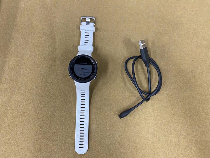 Garmin/佳明 SWIM2国行专业游泳...