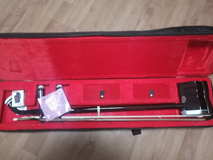 自己购买的入门级二胡，练了几次，后来发现没...