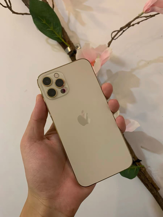 国行正品iPhone 12promax 1...