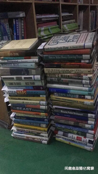 英文书 英文小说 英文名著 英文原著 英文...