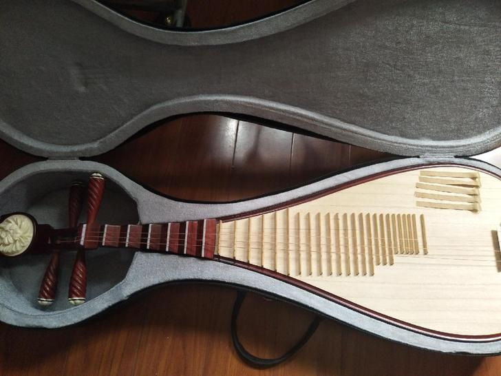 成人初学者琵琶乐器，原价两千多，现价120...