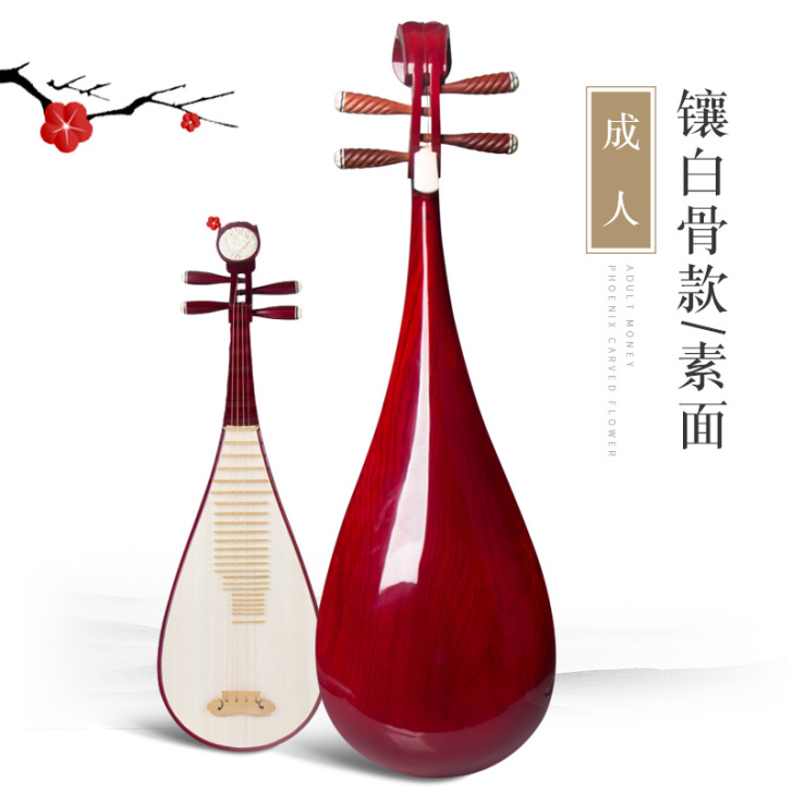 红木琵琶乐器初学入门成人儿童弹拔琵琶演奏民...