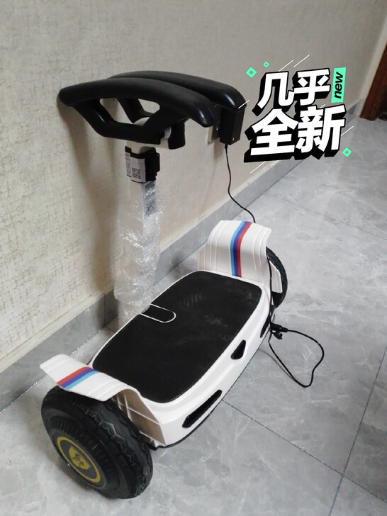 德国保利隆palor品牌平衡车,买了只试了...