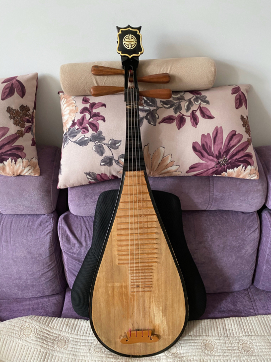 自用的闲置琵琶 以前在实体店3600买的