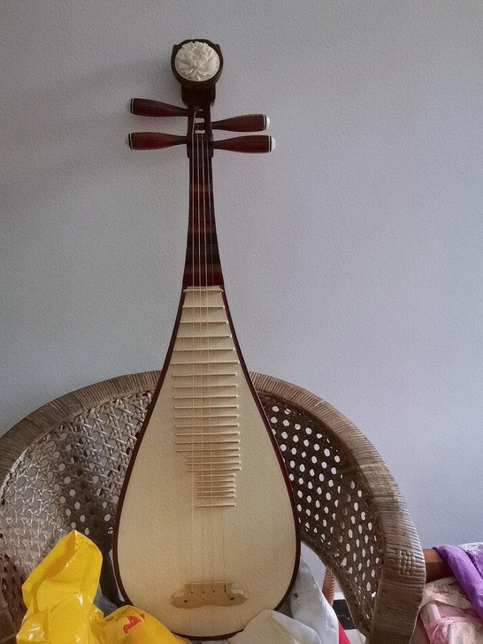 琵琶 全新成人的处理3把 一直放着没弹过 ...