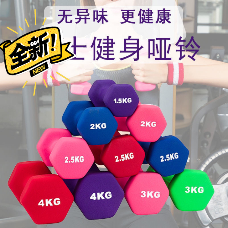 【全新包邮】3kg6斤小哑铃女士哑铃一对3...