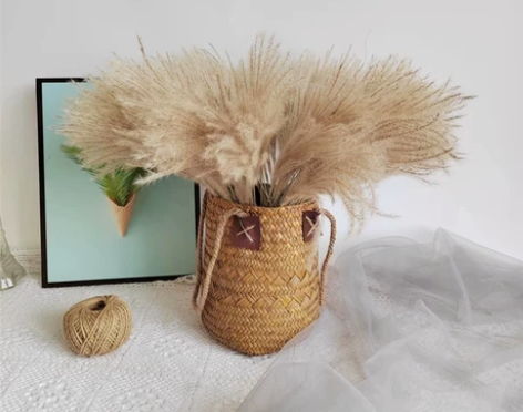 芦苇草干花花束田园风客厅装饰婚庆材料拍摄道...