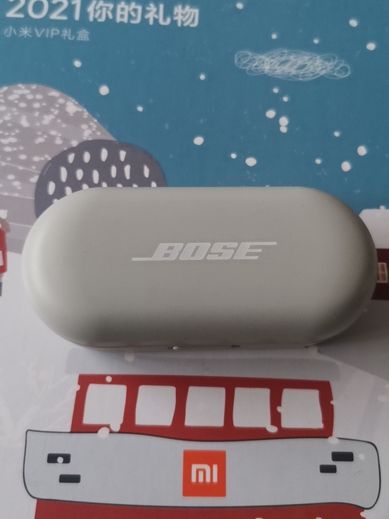 Bose Sport Earbuds ...