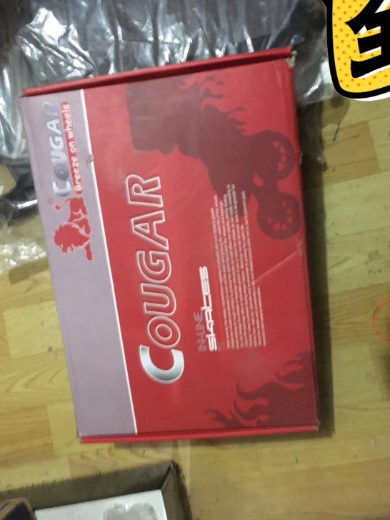 美洲狮平花轮滑鞋40 38