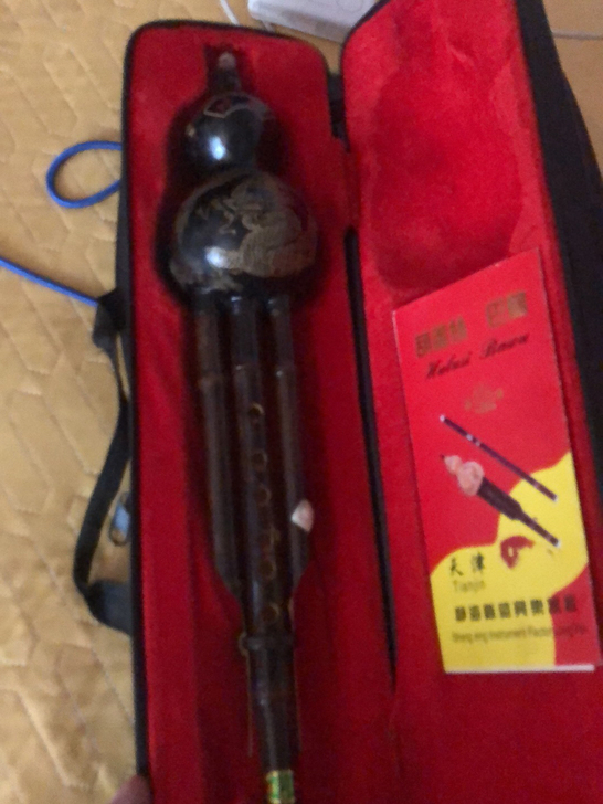 森雀葫芦丝，降B调，