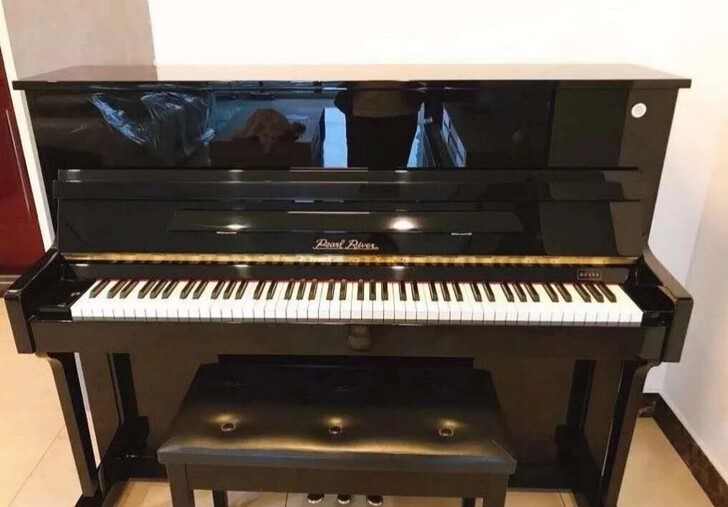 自己家用的珠江118M准新琴，读大学了，便...