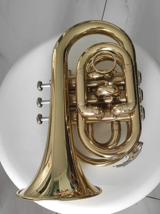 手掌号，小号，USA(美国）工艺，全身无毛...