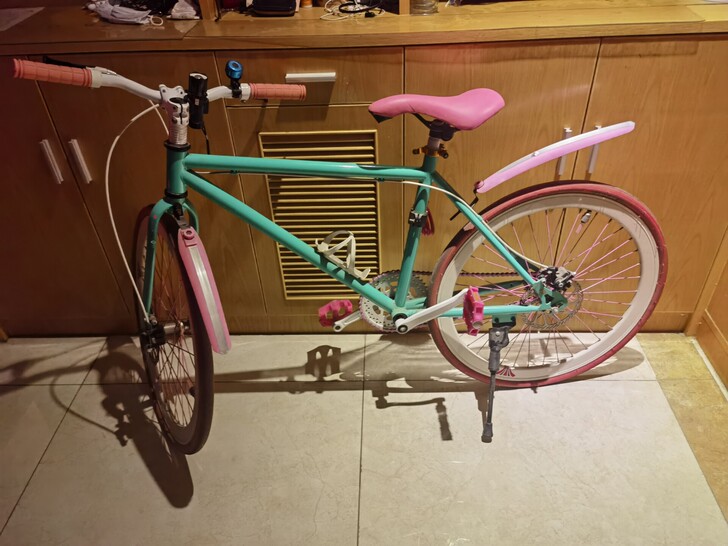 自行车，骑过三四次，现在去外地上学了不用了