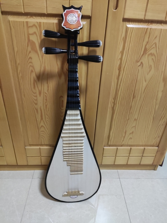 全新琵琶低价转让，需上门自提，送调音器，教...