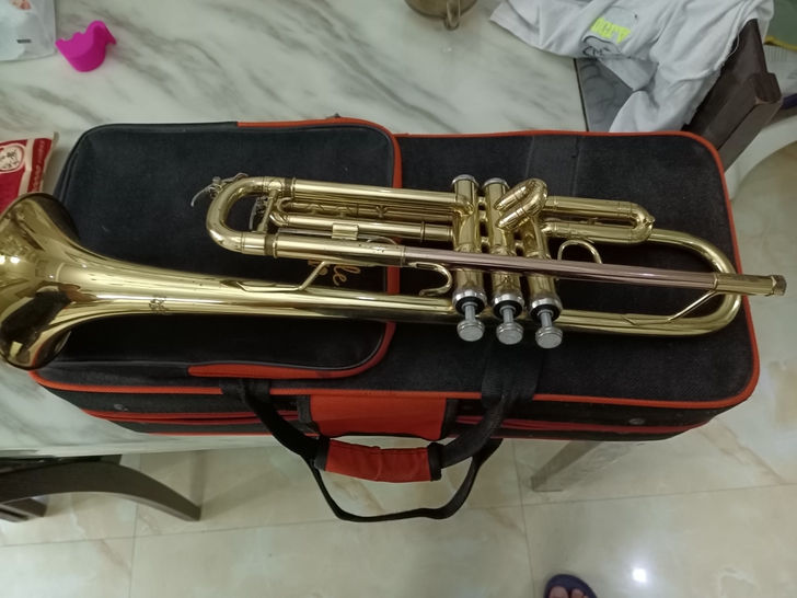 降B调小号。有磕碰