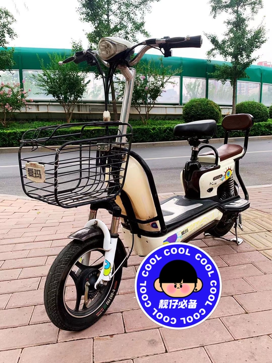 爱玛  买一送五精品爱玛  质量过硬  电...