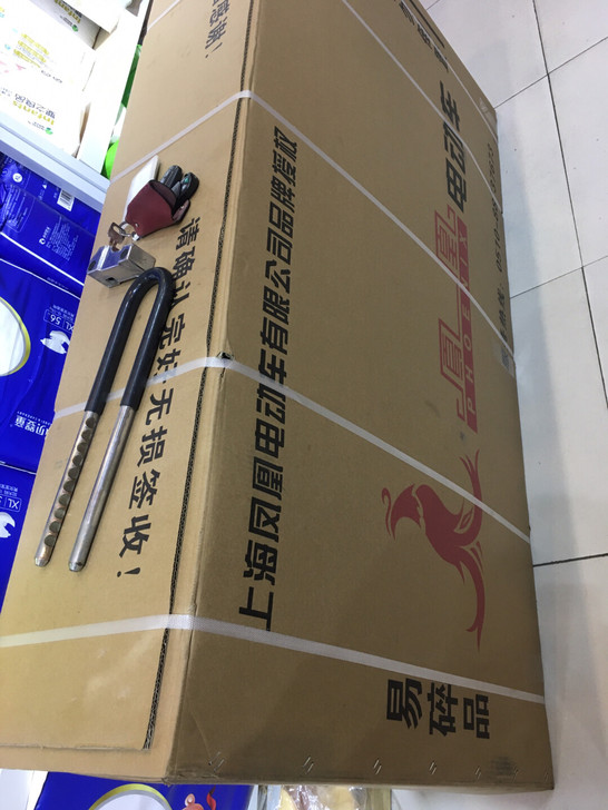 凤凰牌电动国标电动车