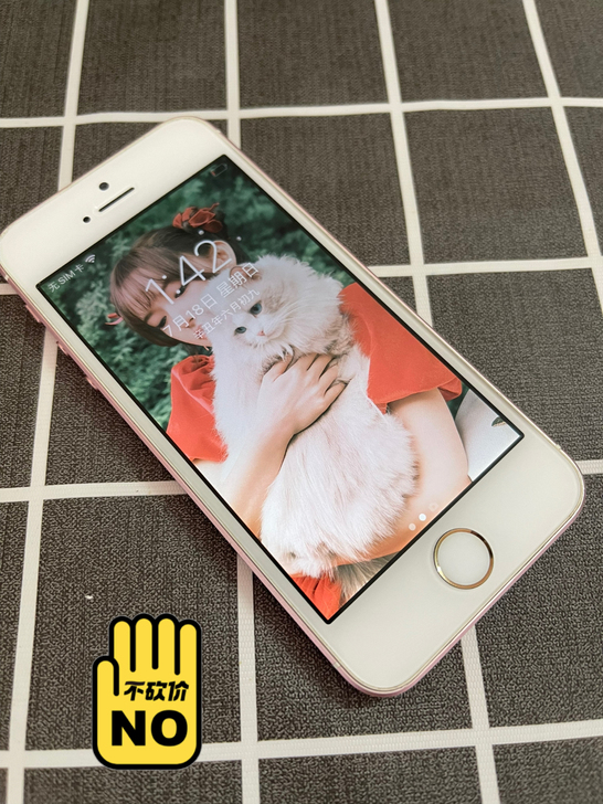 iPhone se 苹果se 32g 无锁...
